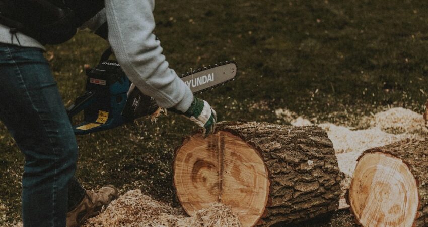 pexels-matreding-6835305